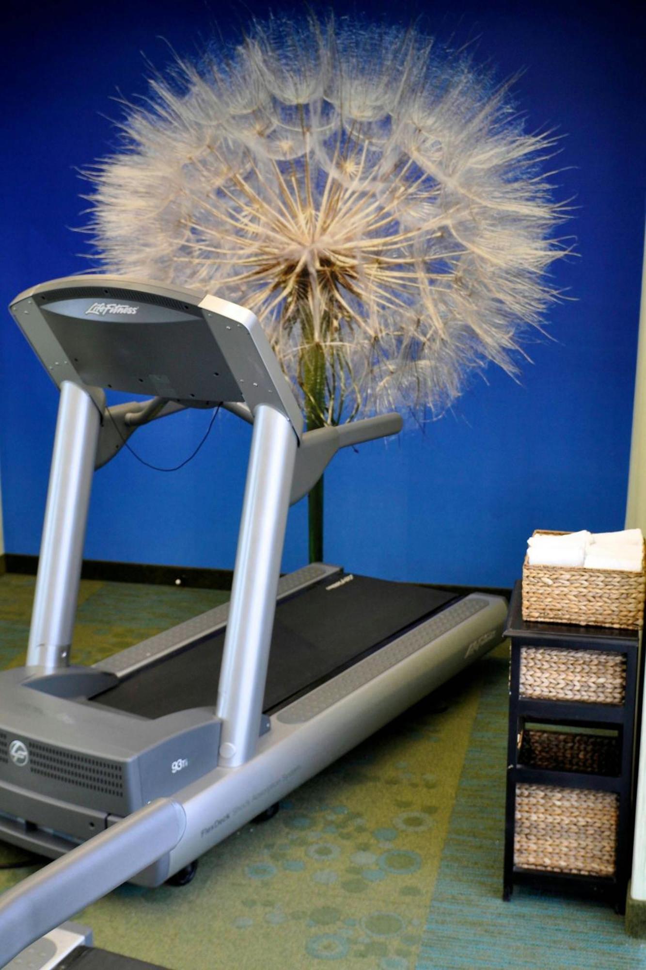 Springhill Suites Galveston Island מראה חיצוני תמונה